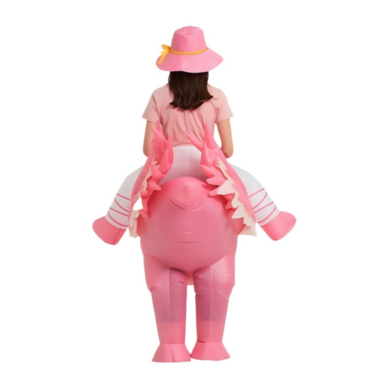 Costumes gonflables de flamant - Cosplay Props avis et prix